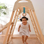 Gym Indoor Playground Climbing Toy for Toddlers, Wooden Montessori Climber Playest with Tent, Slid,